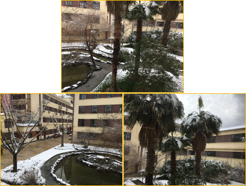 上海六十中学雪景
