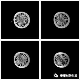 辣椒的磁共振成像