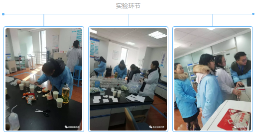 磁共振实验环节