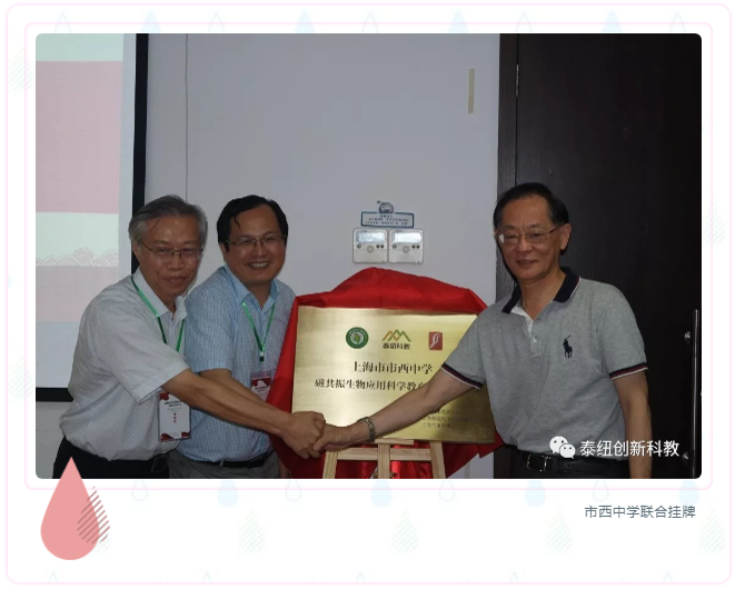 市西中学揭牌