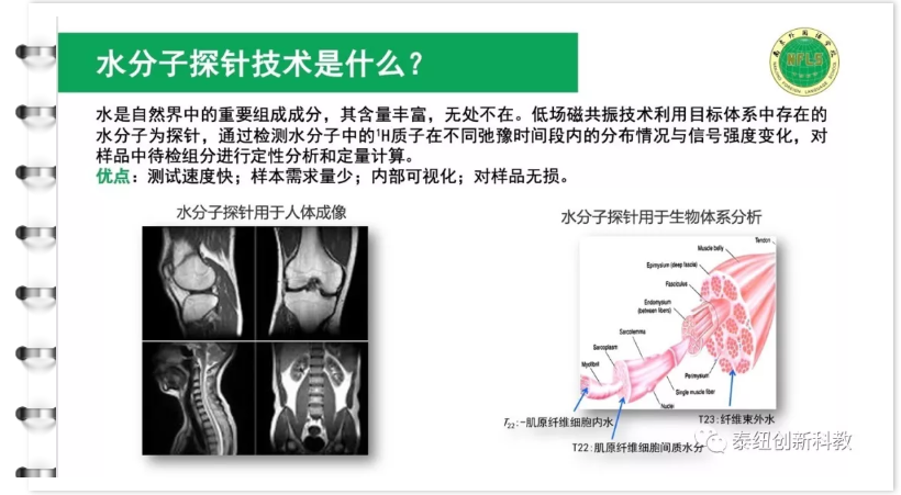 磁共振水分子探针技术