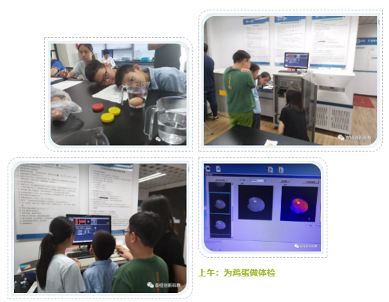 上午磁共振实验：给鸡蛋做体检