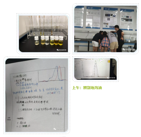 上午磁共振实验：辨别地沟油