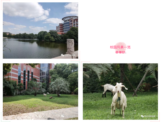 天一中学校园内景