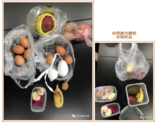 磁共振实验样品