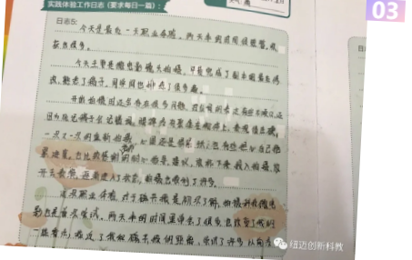 华四学生感言4